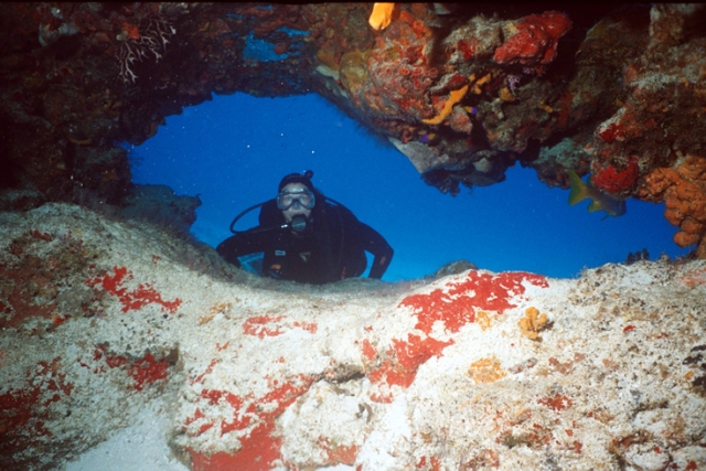 Buceando bajo el mar
